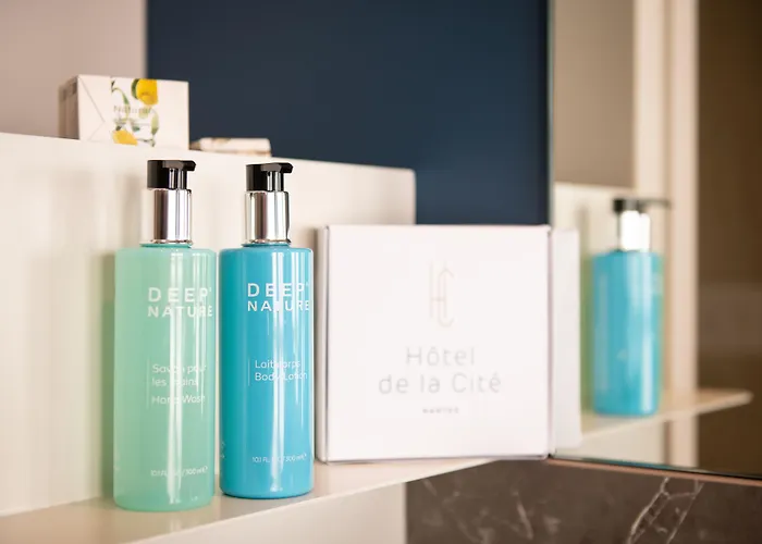 Hotel De La Cité 3*